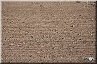 LC-4H-Fair-08_025.jpg
