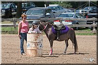 LC-4H-Fair-08_650.jpg