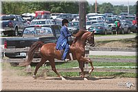 LC-4H-Fair-08_621.jpg