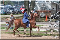 LC-4H-Fair-08_623.jpg