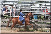 LC-4H-Fair-08_624.jpg