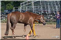 LC-4H-Fair-08_086.jpg