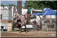 LC-4H-Fair-08_213.jpg