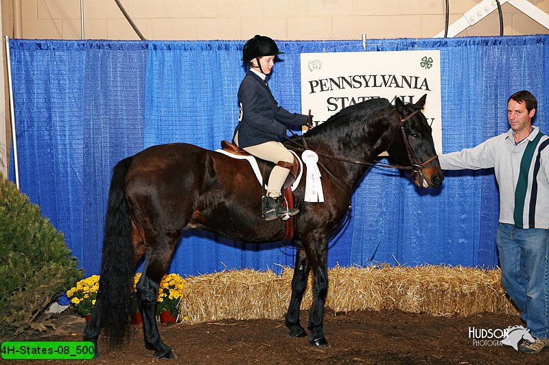 4H-States-08_500.jpg