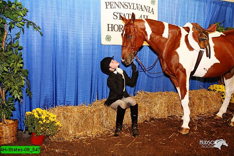 4H-States-08_547.jpg
