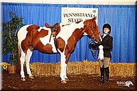 4H-States-08_542.jpg
