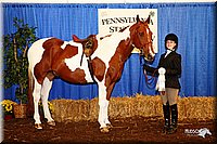 4H-States-08_543.jpg