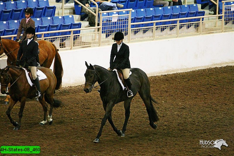 4H-States-08_460.jpg