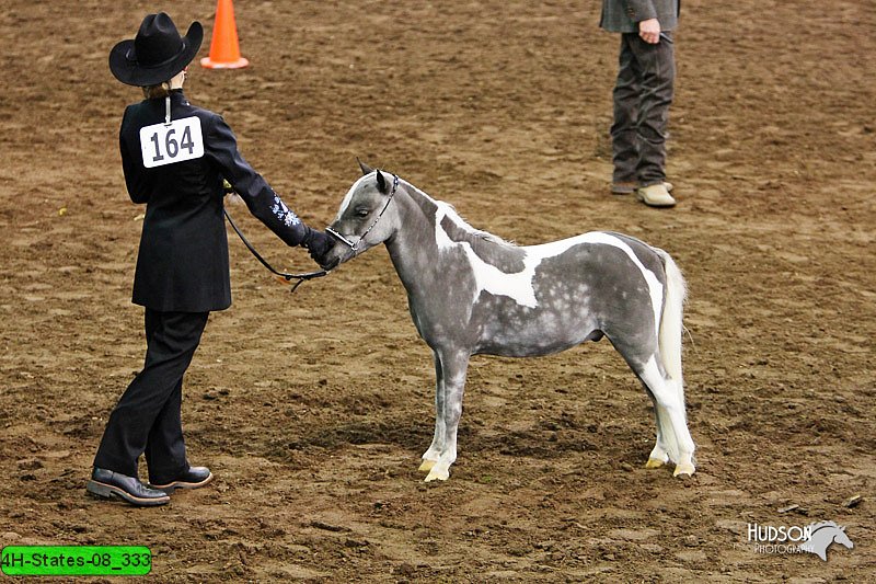 4H-States-08_333.jpg