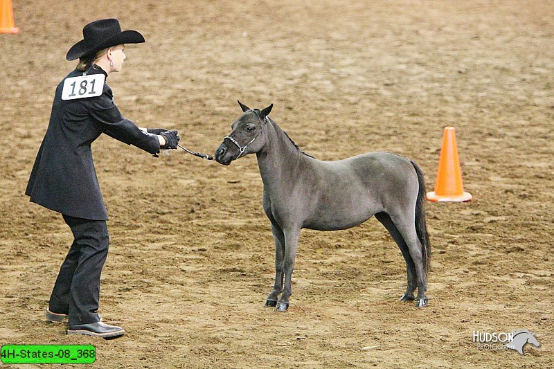 4H-States-08_368.jpg