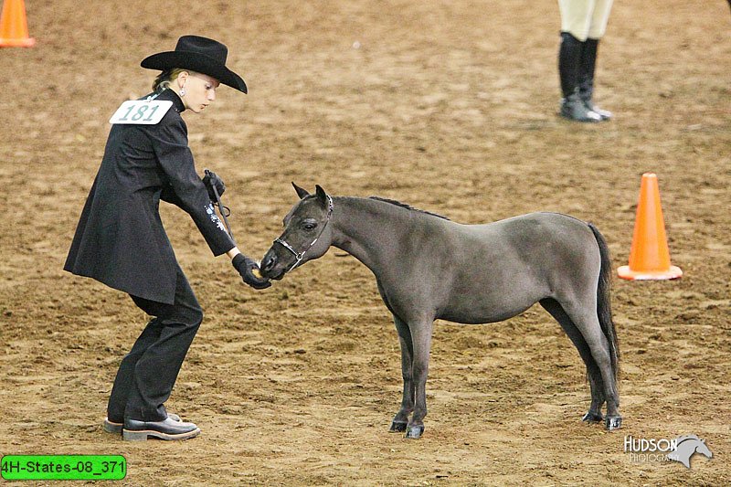 4H-States-08_371.jpg