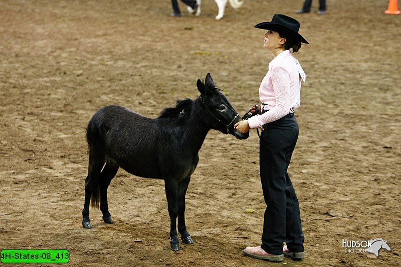4H-States-08_413.jpg