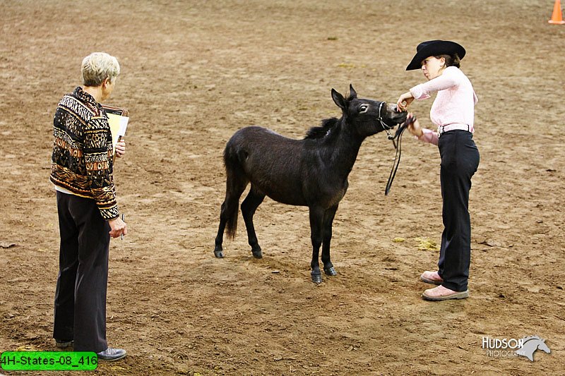 4H-States-08_416.jpg