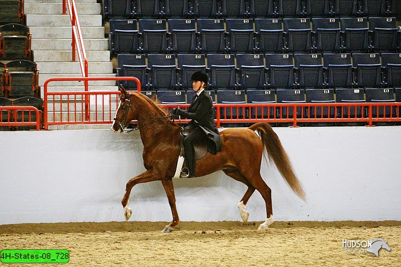 4H-States-08_728.jpg