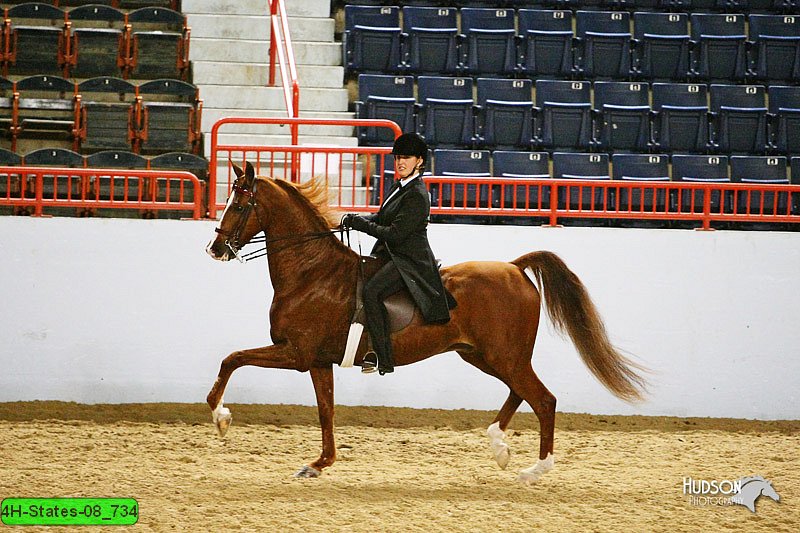 4H-States-08_734.jpg