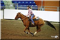 2008-State-Show
