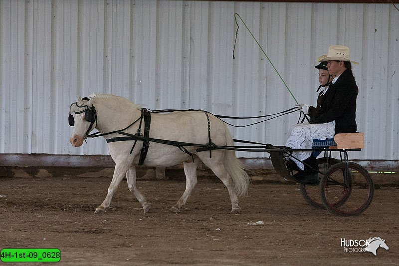 4H-1st-09_0628.jpg