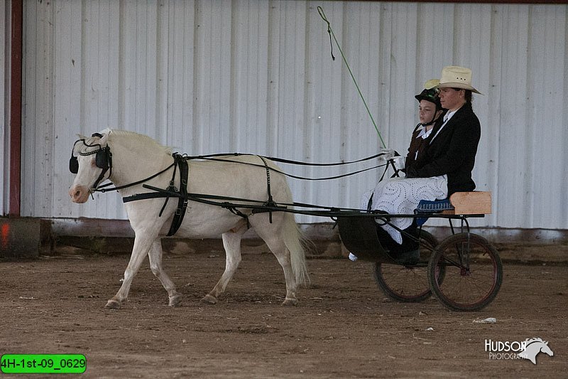 4H-1st-09_0629.jpg