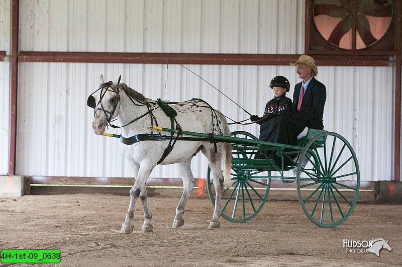 4H-1st-09_0638.jpg