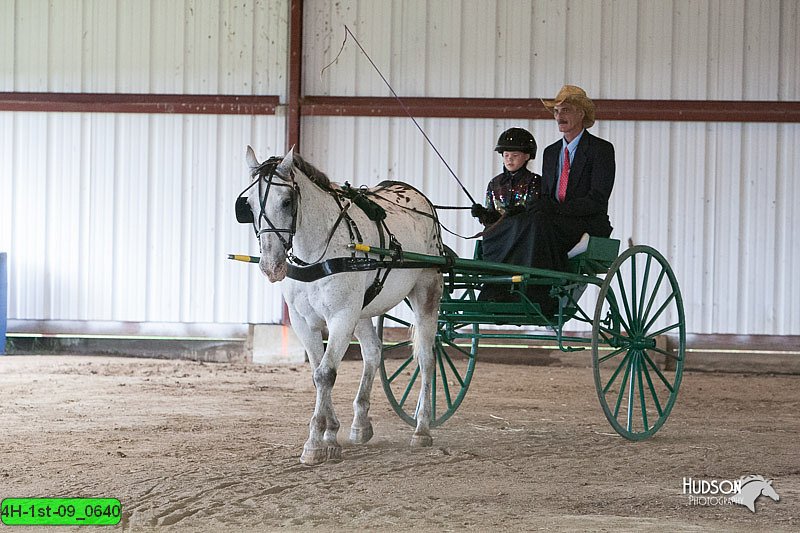 4H-1st-09_0640.jpg