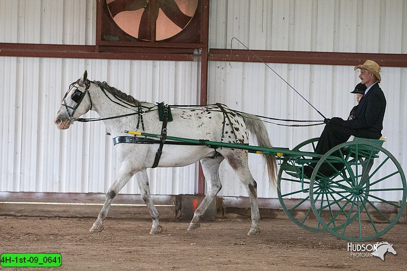 4H-1st-09_0641.jpg