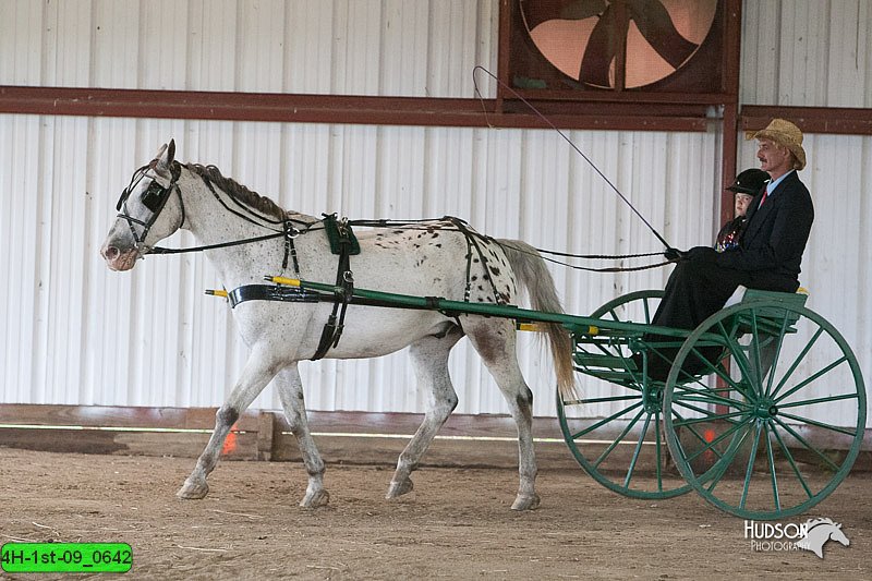 4H-1st-09_0642.jpg