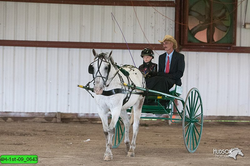 4H-1st-09_0643.jpg