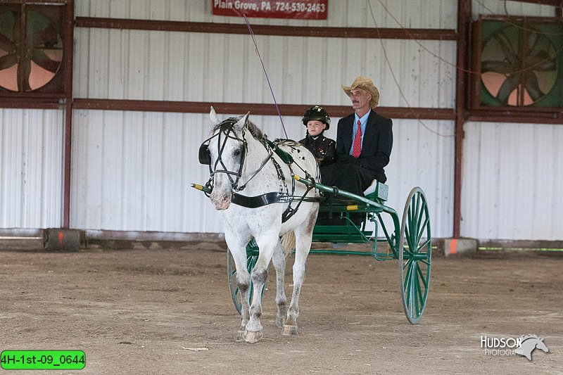 4H-1st-09_0644.jpg