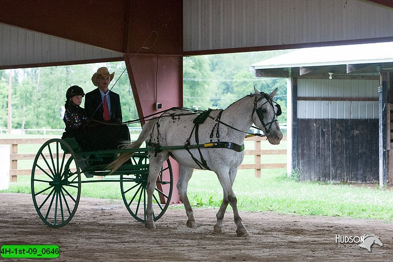 4H-1st-09_0646.jpg