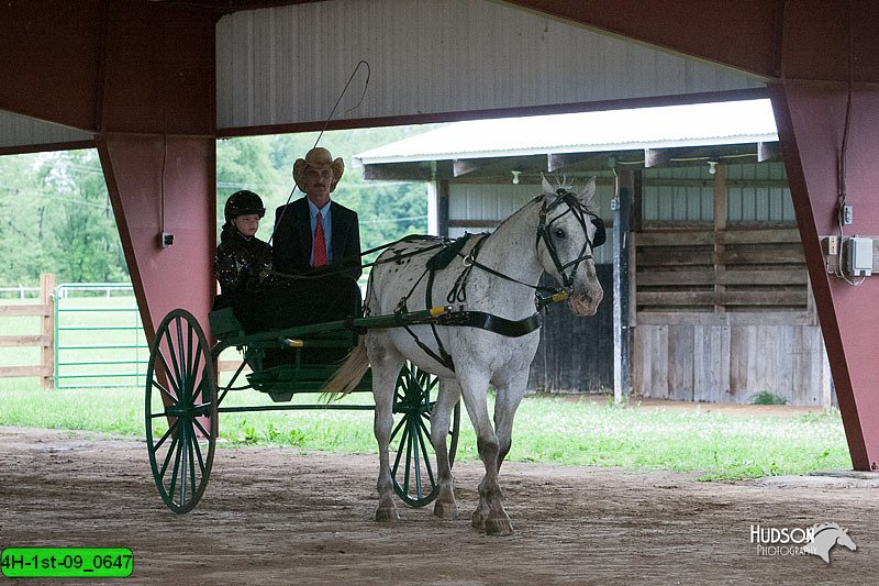 4H-1st-09_0647.jpg