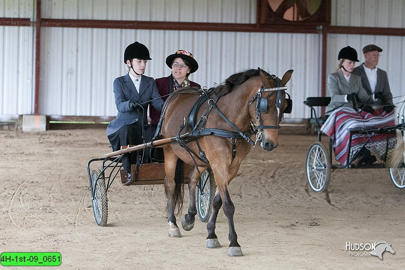 4H-1st-09_0651.jpg