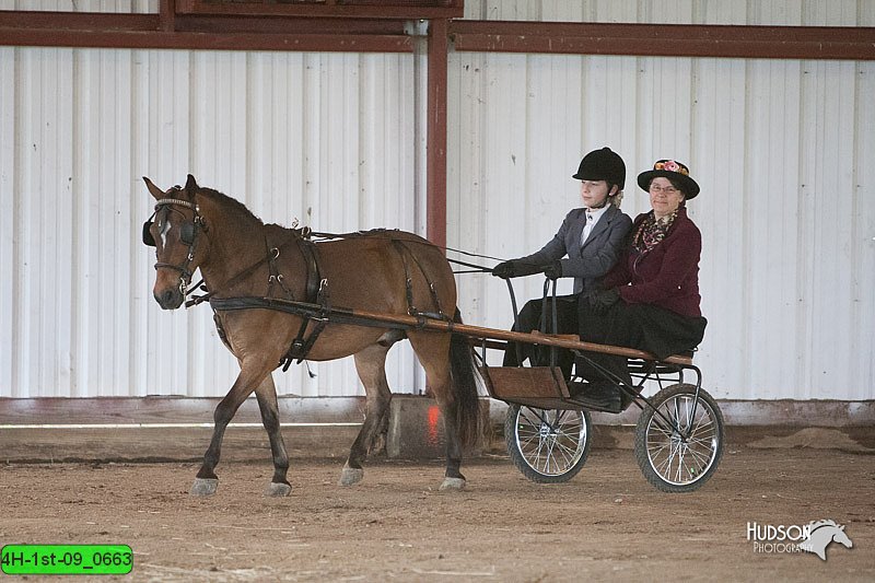4H-1st-09_0663.jpg