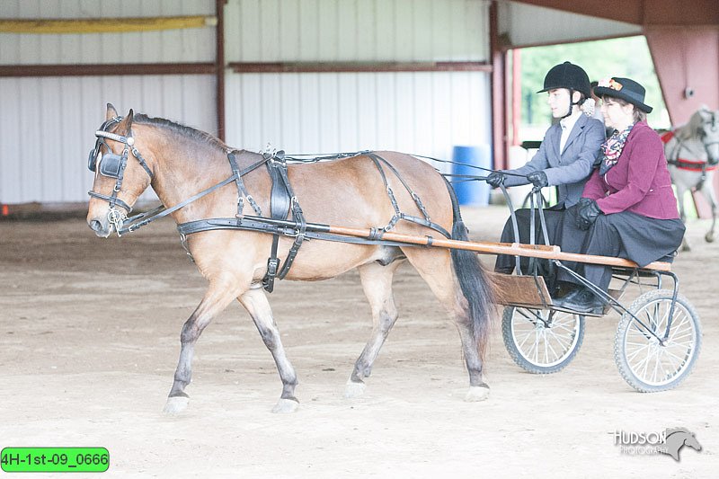 4H-1st-09_0666.jpg