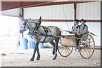 4H-1st-09_0608.jpg