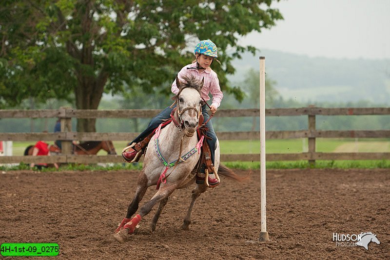 4H-1st-09_0275.jpg