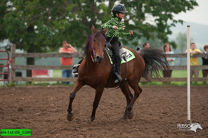 4H-1st-09_0288.jpg