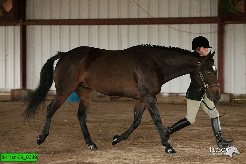 4H-1st-09_0349.jpg