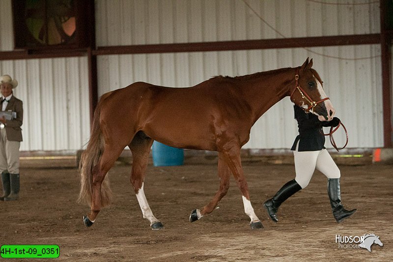 4H-1st-09_0351.jpg