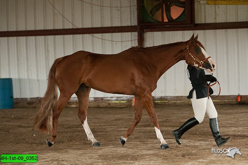 4H-1st-09_0352.jpg