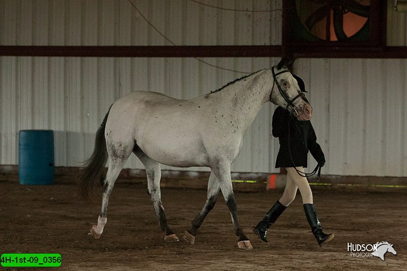 4H-1st-09_0356.jpg