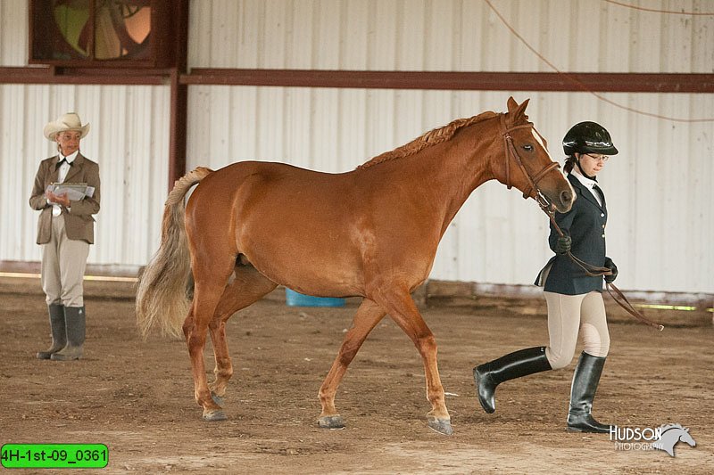 4H-1st-09_0361.jpg