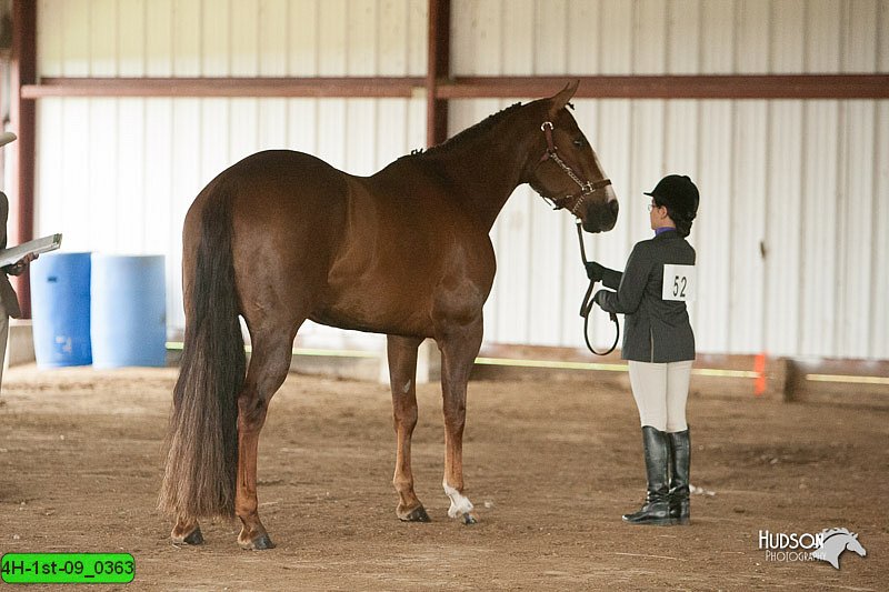 4H-1st-09_0363.jpg