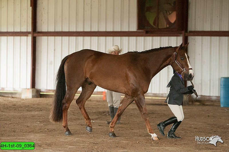 4H-1st-09_0364.jpg