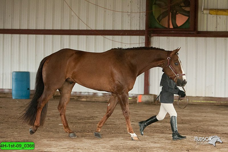 4H-1st-09_0366.jpg