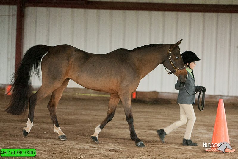 4H-1st-09_0367.jpg