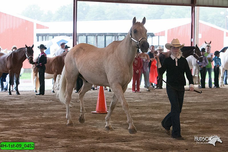 4H-1st-09_0452.jpg