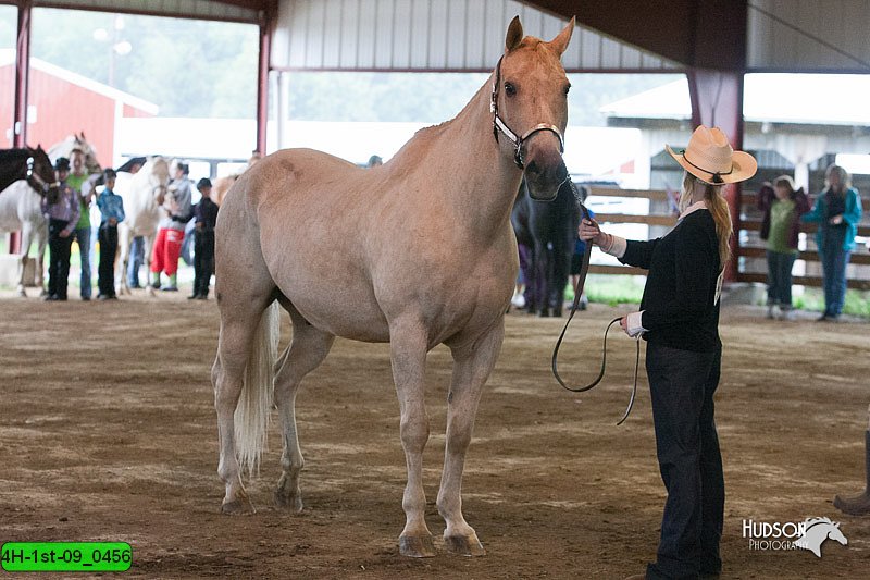 4H-1st-09_0456.jpg