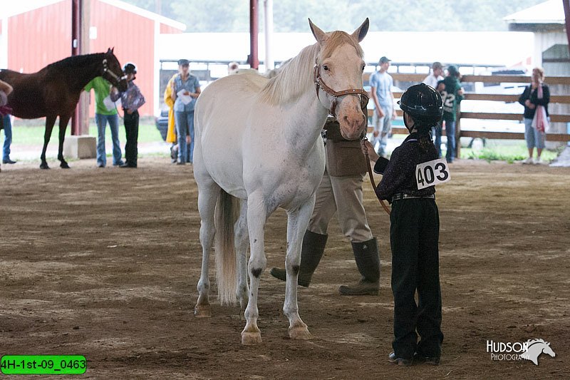 4H-1st-09_0463.jpg