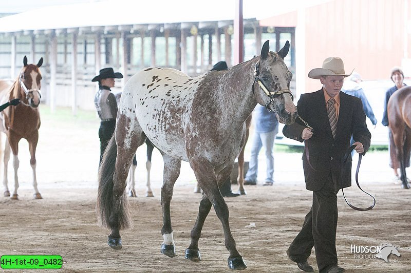 4H-1st-09_0482.jpg