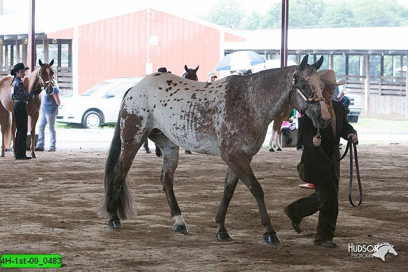 4H-1st-09_0483.jpg